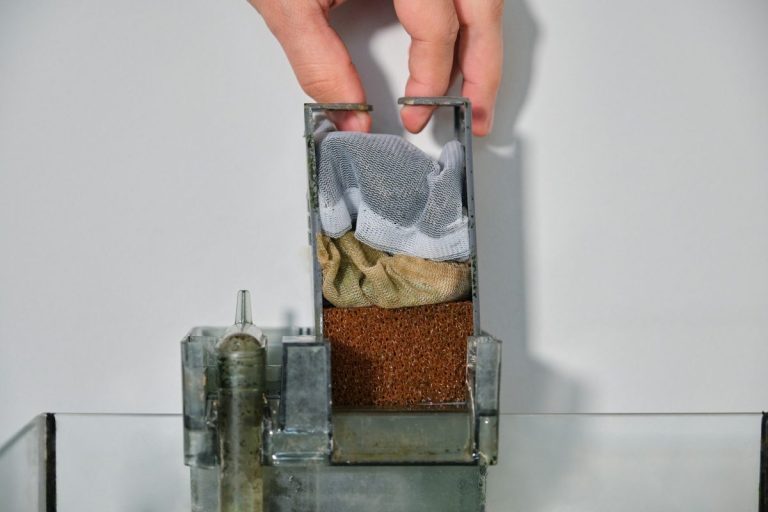Filtro acquario d'acqua dolce come è composto